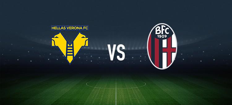 他山之石 他山之石