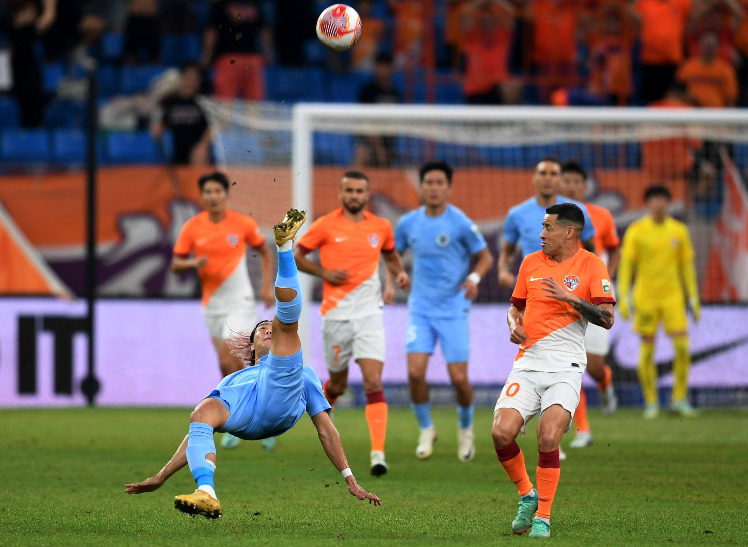 部分揭示 部分揭示